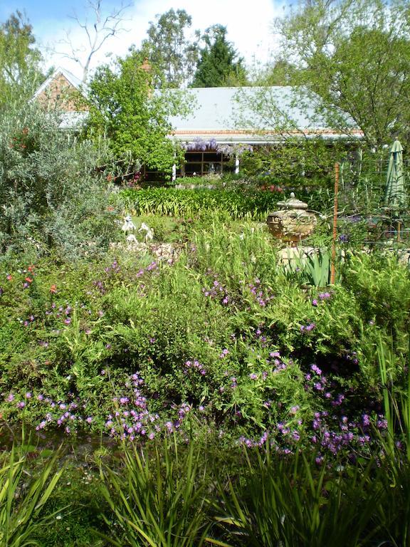 Гостевой дом Redgum Hill Country Retreat Балингап Номер фото