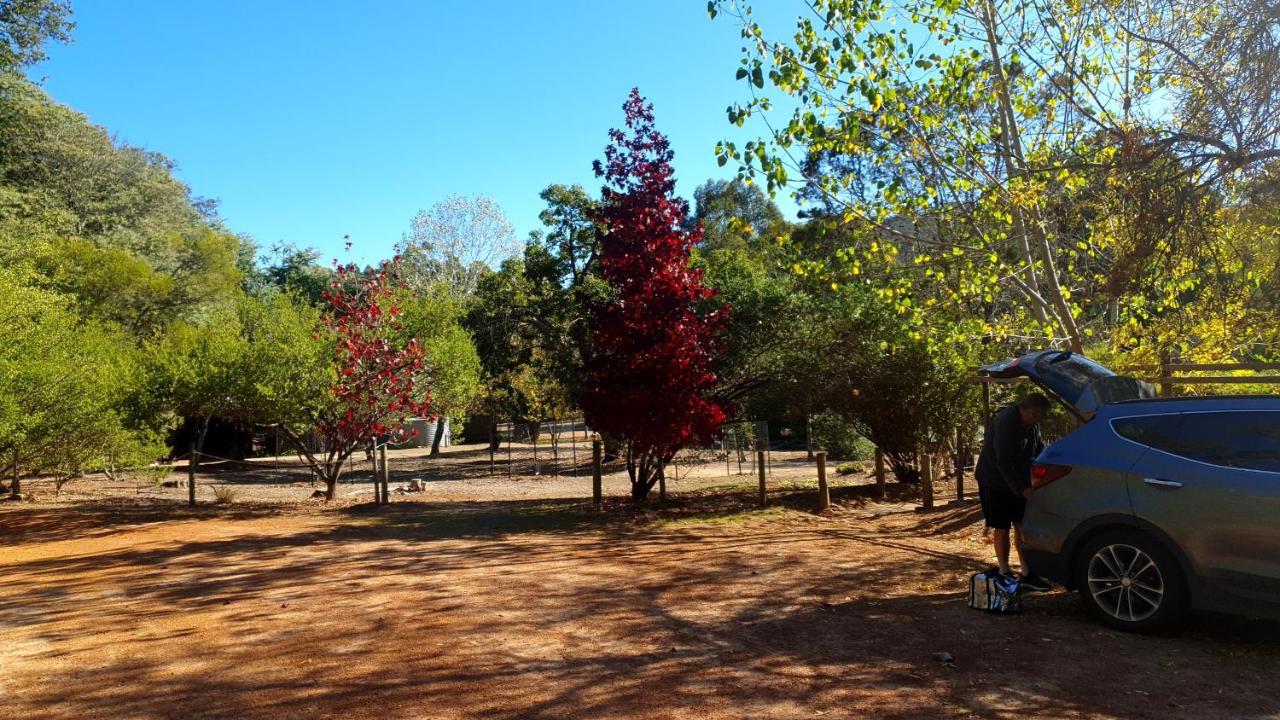 Гостевой дом Redgum Hill Country Retreat Балингап Экстерьер фото