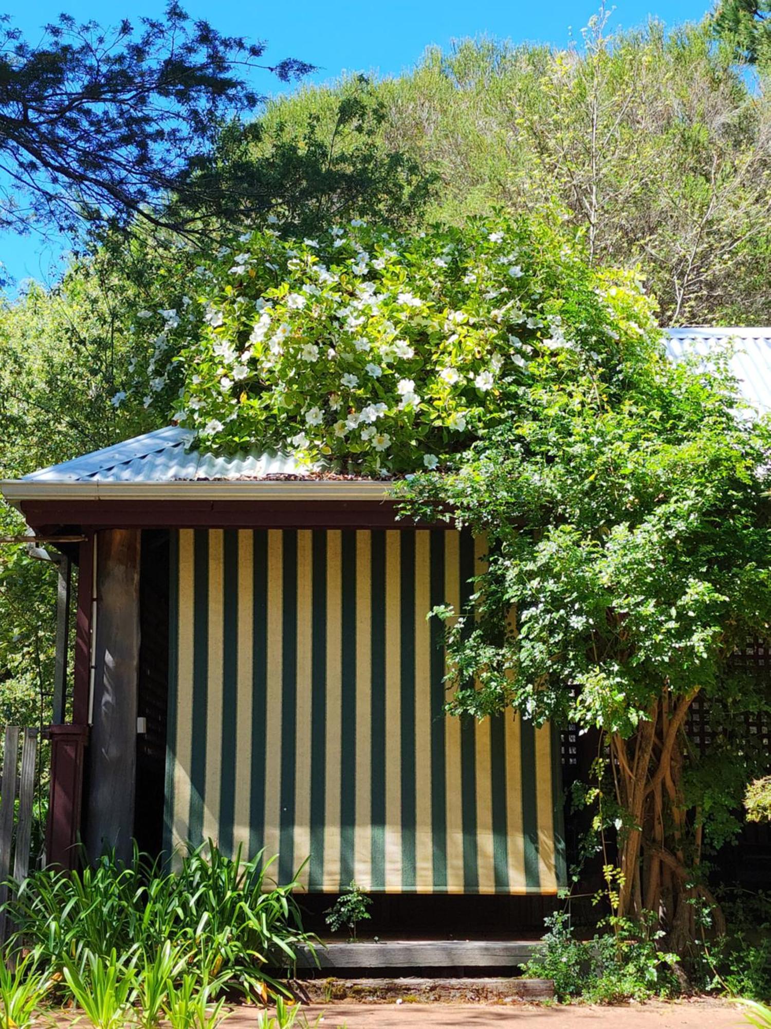 Гостевой дом Redgum Hill Country Retreat Балингап Экстерьер фото
