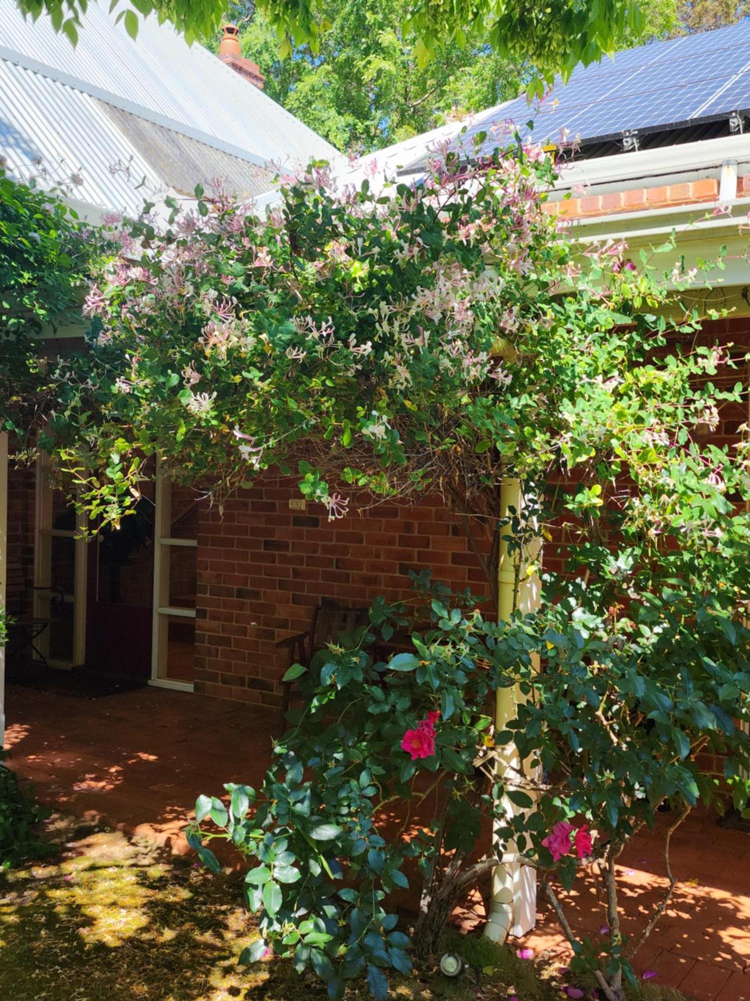 Гостевой дом Redgum Hill Country Retreat Балингап Экстерьер фото